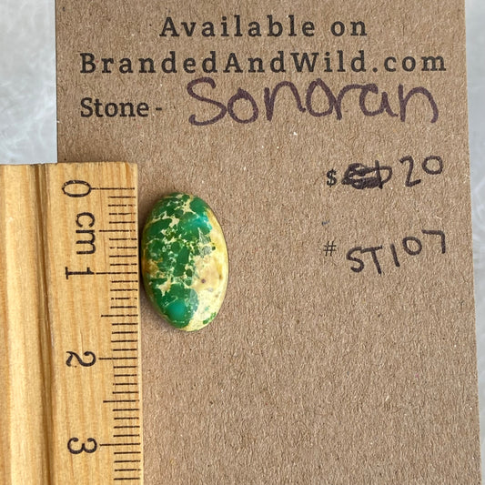 Sonoran Turquoise Cabochon - ST107