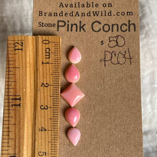 Pink Conch Cabochon - PC04