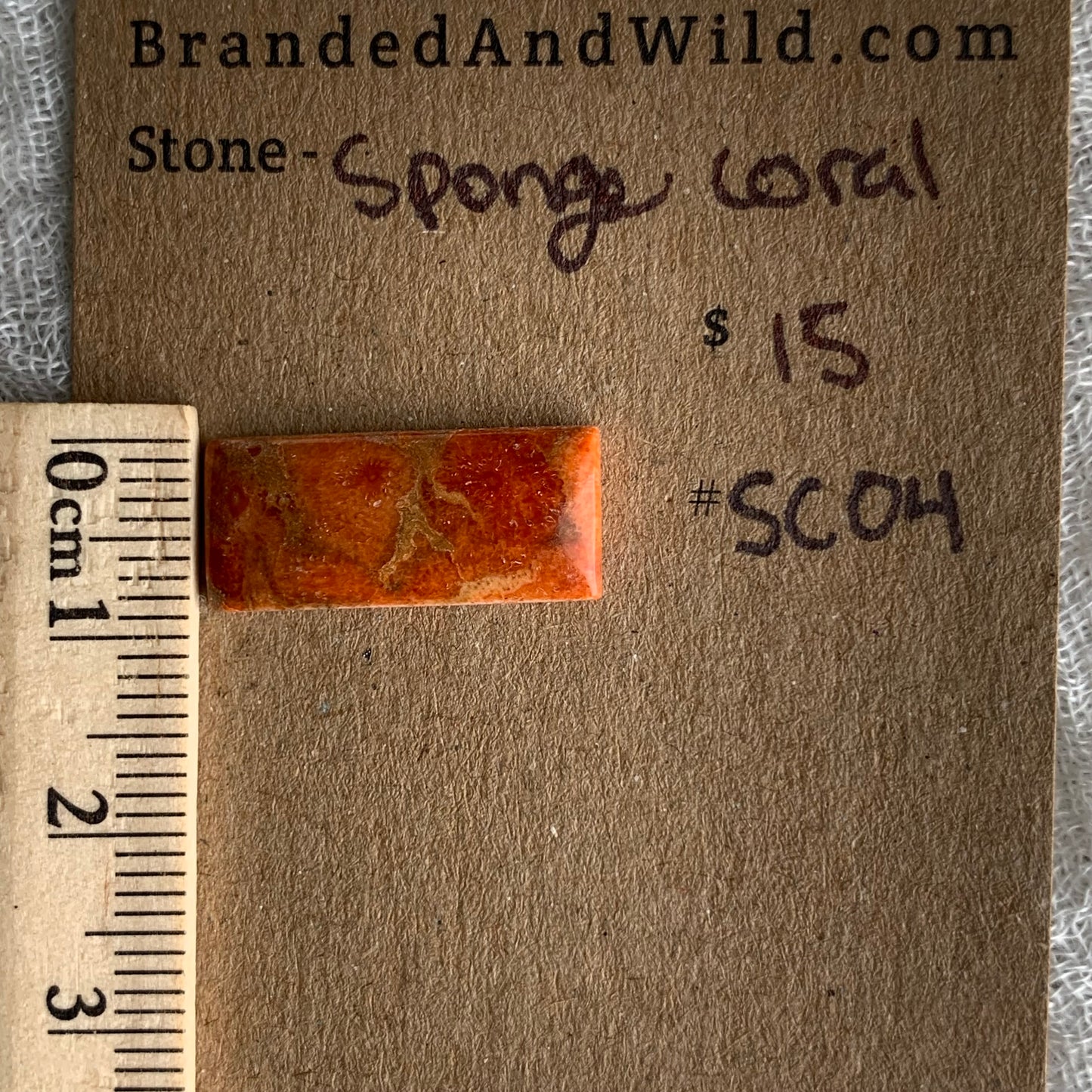 Sponge Coral Cabochon - SC04