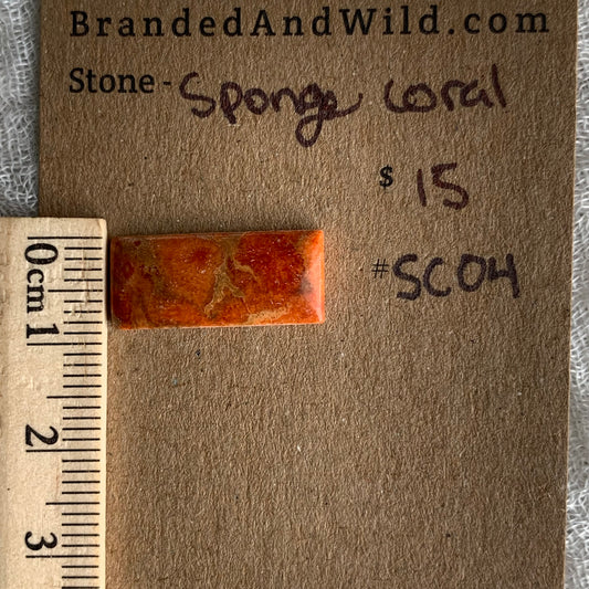 Sponge Coral Cabochon - SC04
