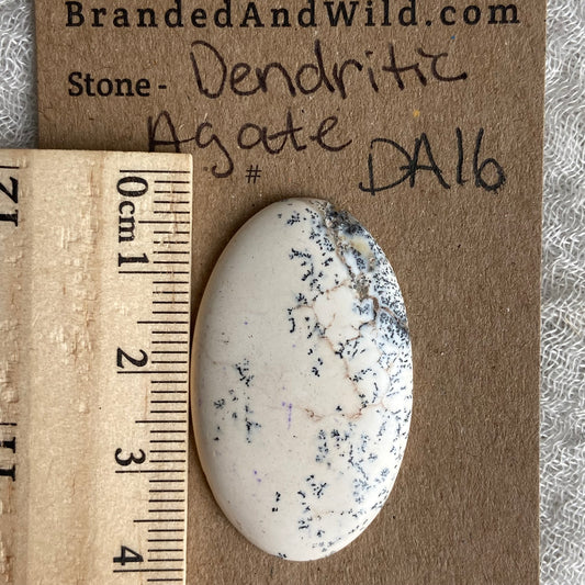 Dendritic Agate Cabochon - DA16