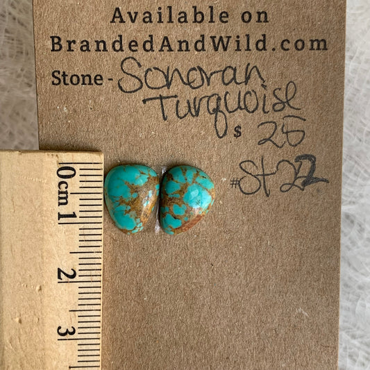 Sonoran Turquoise Cabochon - ST22