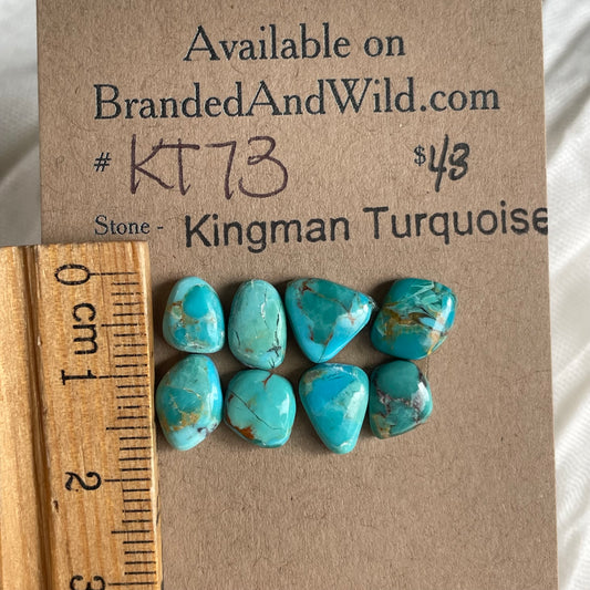 Kingman Turquoise Cabochon - KT73 DABB4102-115F-4726-A573-EA9CC44E84B7 Brandedandwild.com