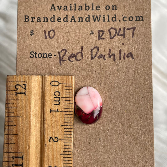 Red Dahlia Cabochon - RD47 DACA97F8-14F4-4F2F-BA43-15C04620ADF3 Brandedandwild.com