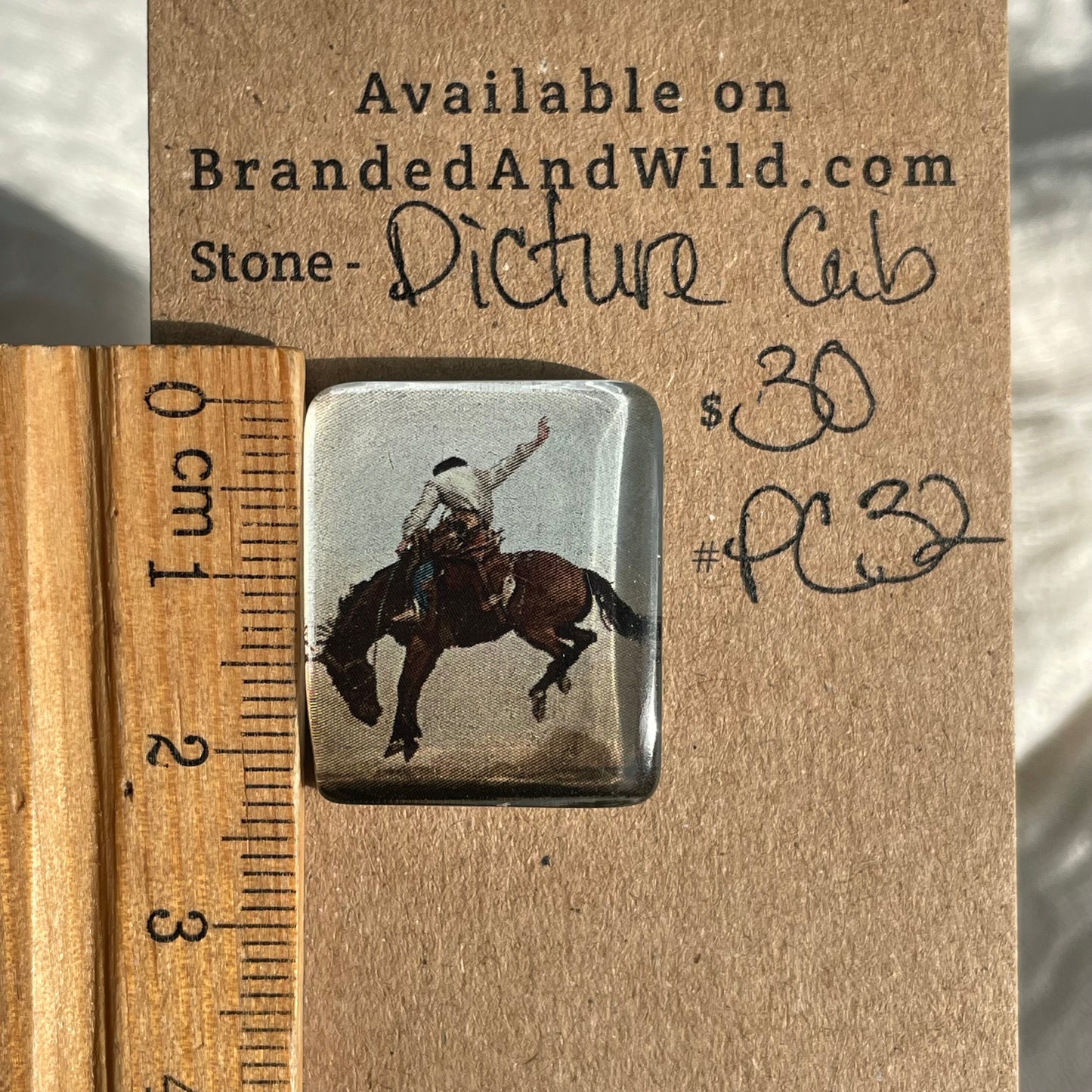 Picture Cabochon - Cabochon - PC32 DAE6D2EA-E9EA-4724-8042-01D8CCEA38E3 Brandedandwild.com