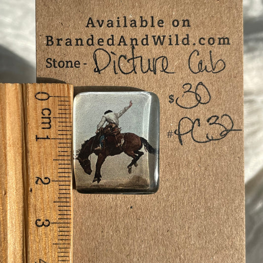 Picture Cabochon - Cabochon - PC32 DAE6D2EA-E9EA-4724-8042-01D8CCEA38E3 Brandedandwild.com