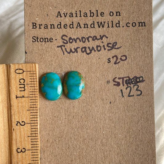 Sonoran Turquoise Cabochon - ST123 DAEAA930-0535-4CE5-9118-D3115895A0EF Brandedandwild.com