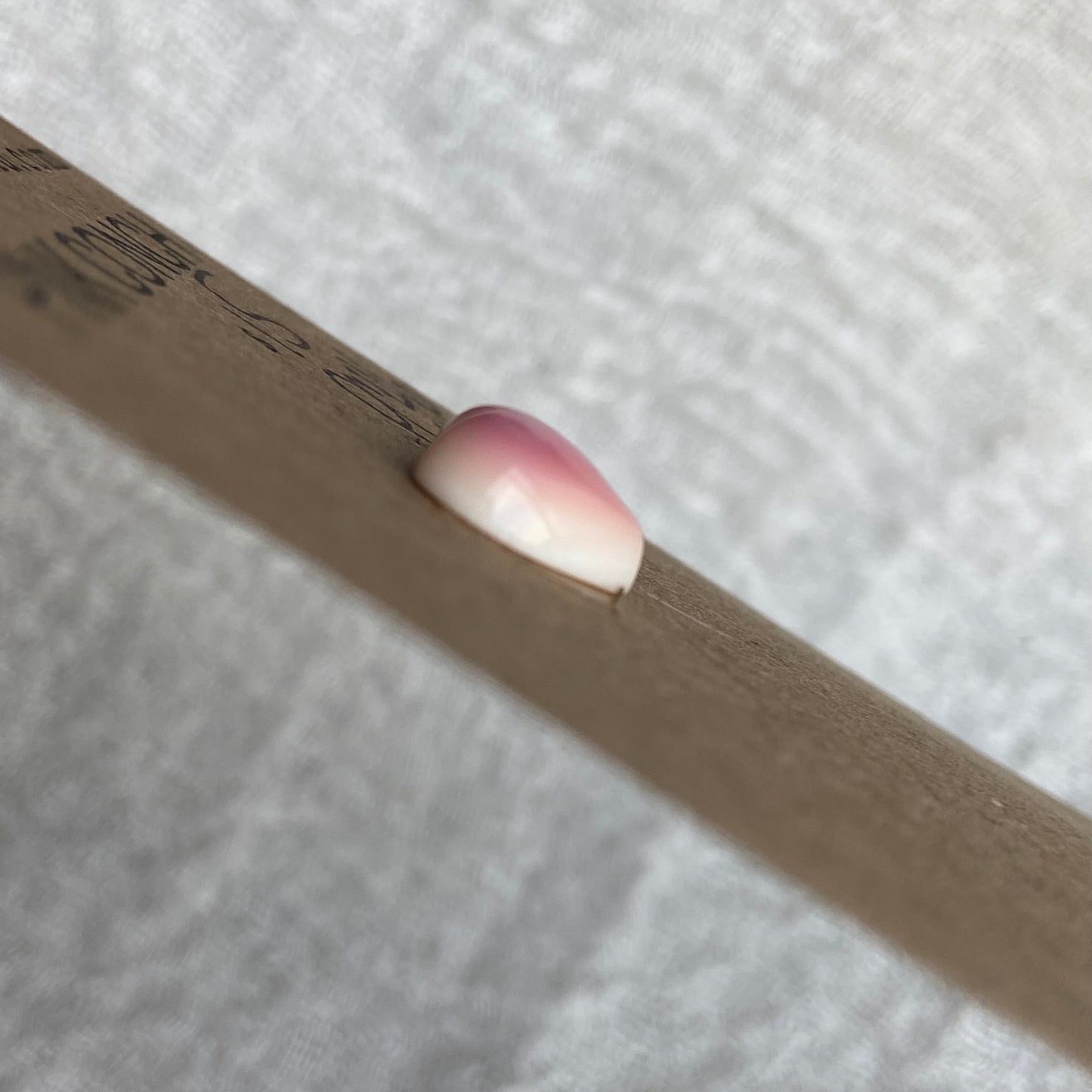Pink Conch Cabochon - PC46
