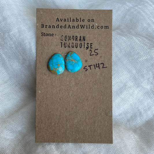 Sonoran Turquoise Cabochon - ST142