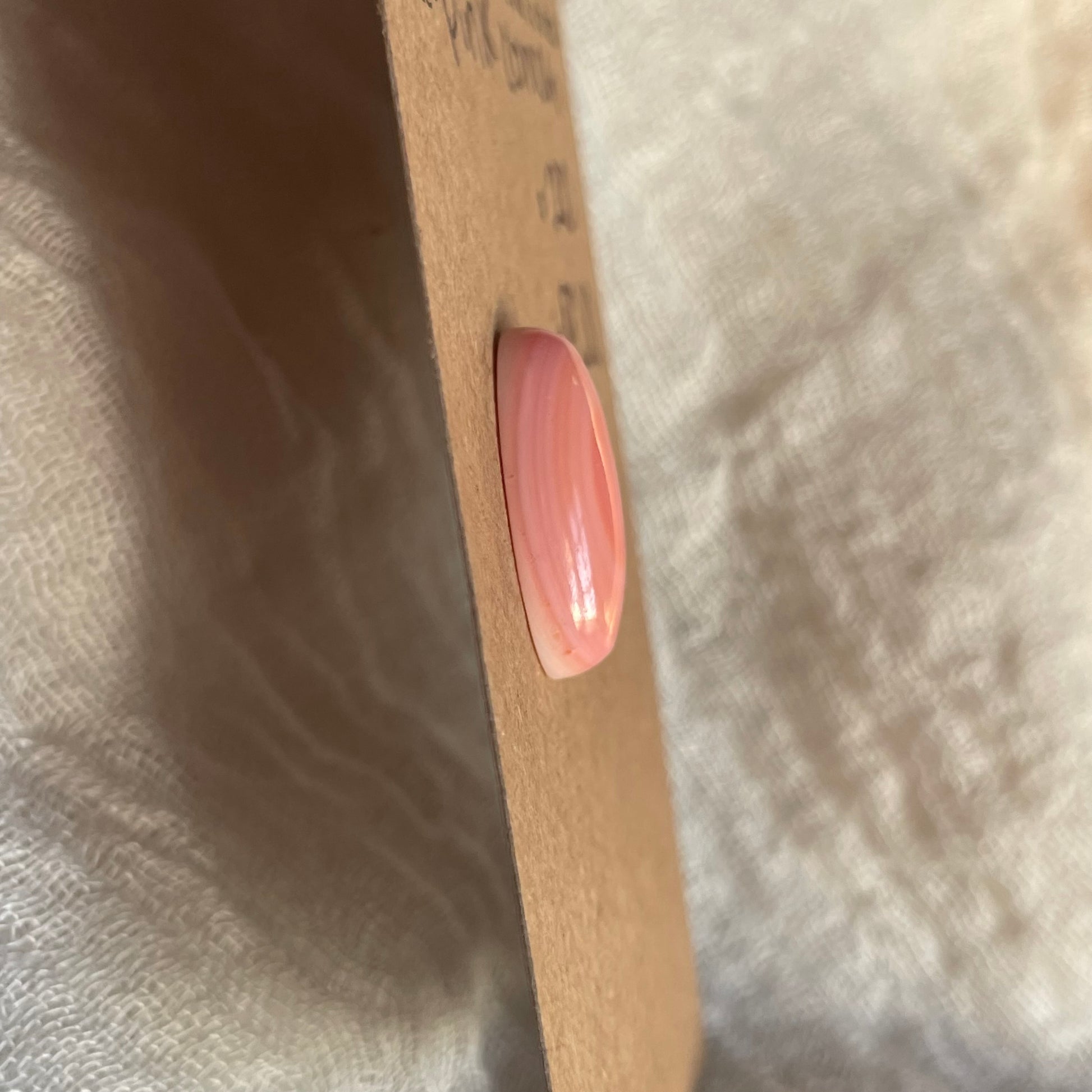 Pink Conch Cabochon - PC10 DB1BC6D5-CD20-4FF5-91B8-D20506F7157B Brandedandwild.com
