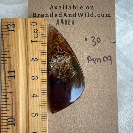 Amber Cabochon AM09