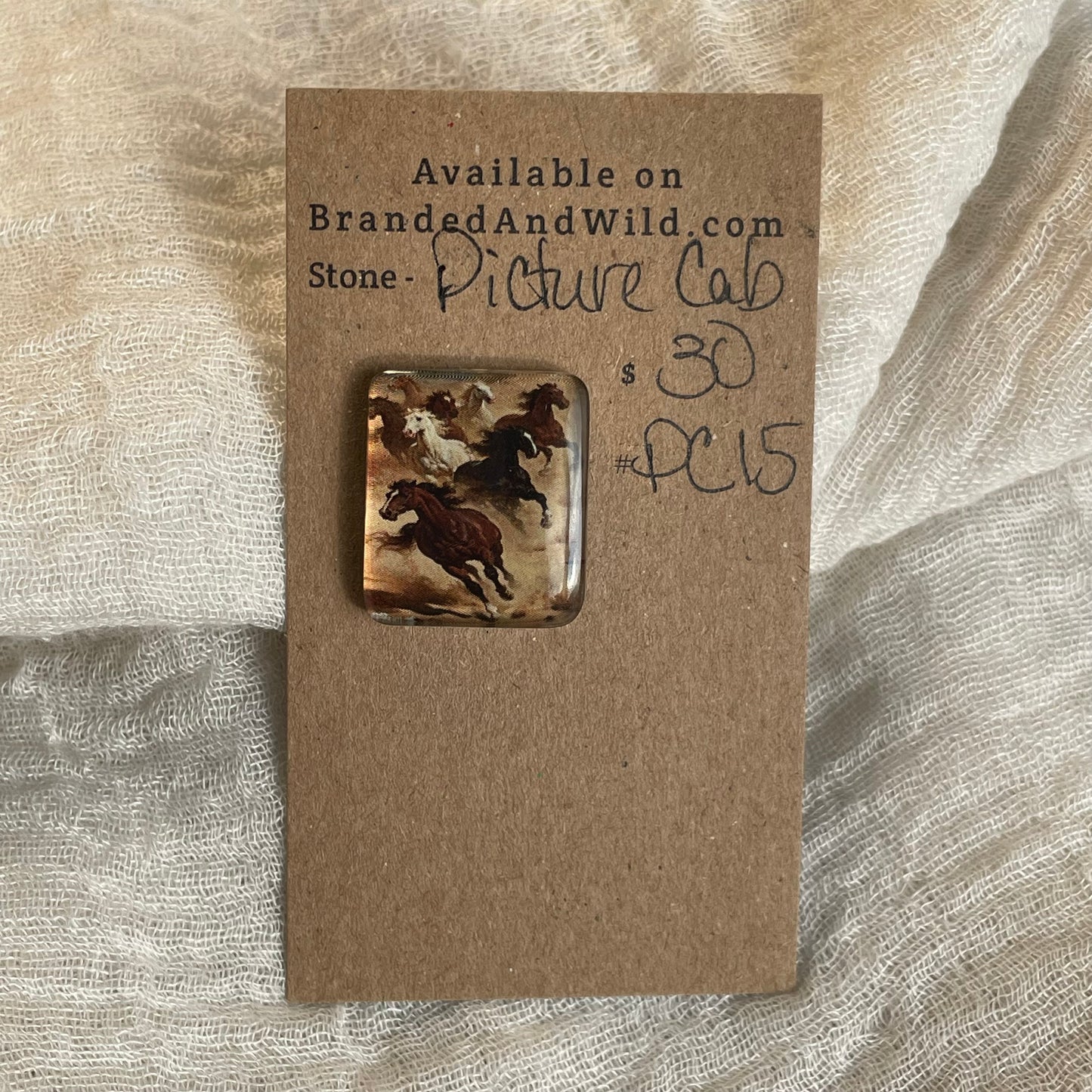 Picture Cabochon - Cabochon - PC15 DB335197-F7CB-42C2-B927-343F20848D6E Brandedandwild.com