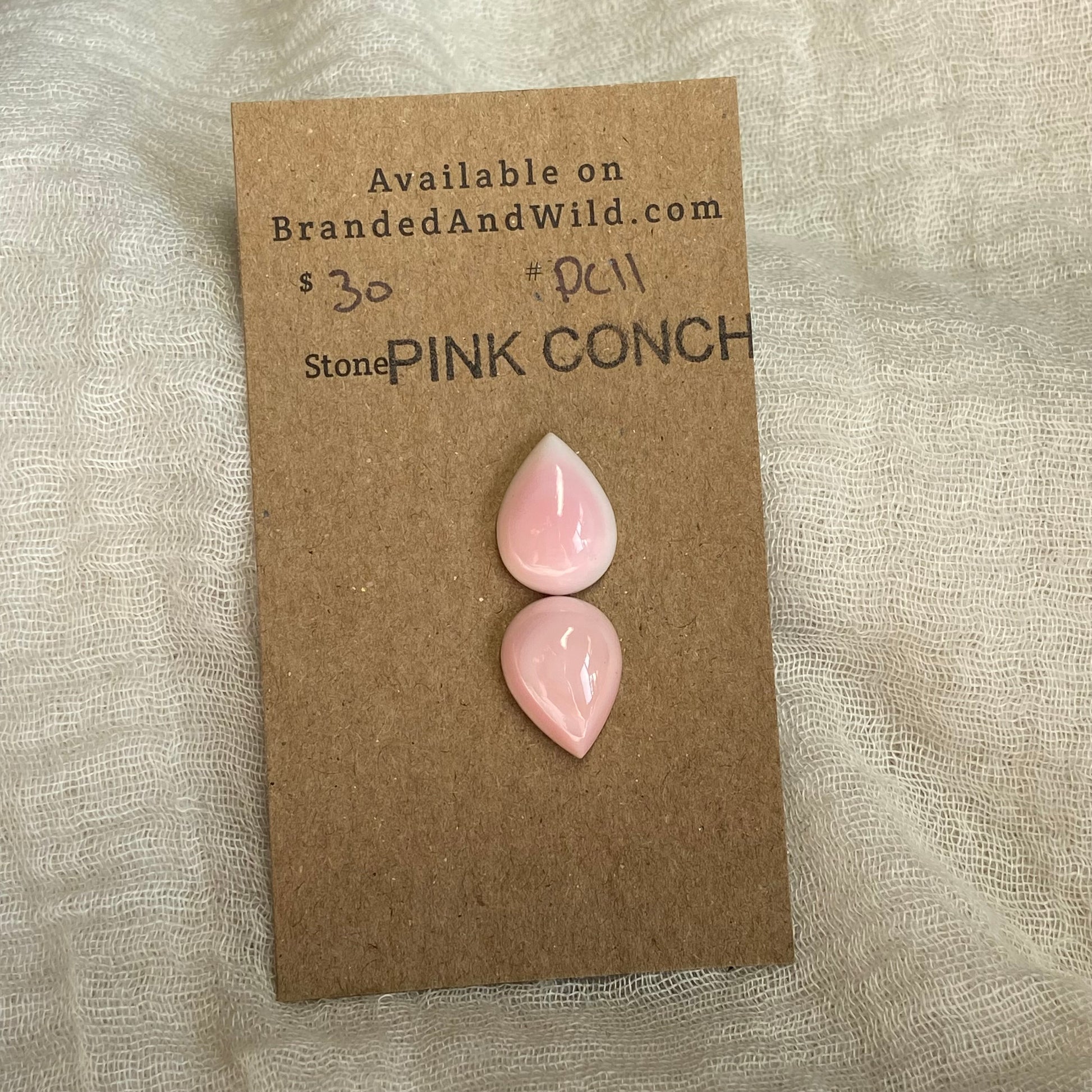 Pink Conch Cabochon - PC11 DB46BBDB-42B5-4911-AD6D-CC56409AB9D3 Brandedandwild.com