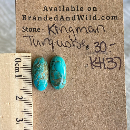 Kingman Turquoise Cabochon - KT137
