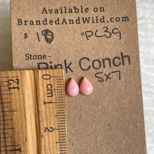 Pink Conch Cabochon - PC39
