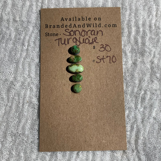Sonoran Turquoise Cabochon - ST70