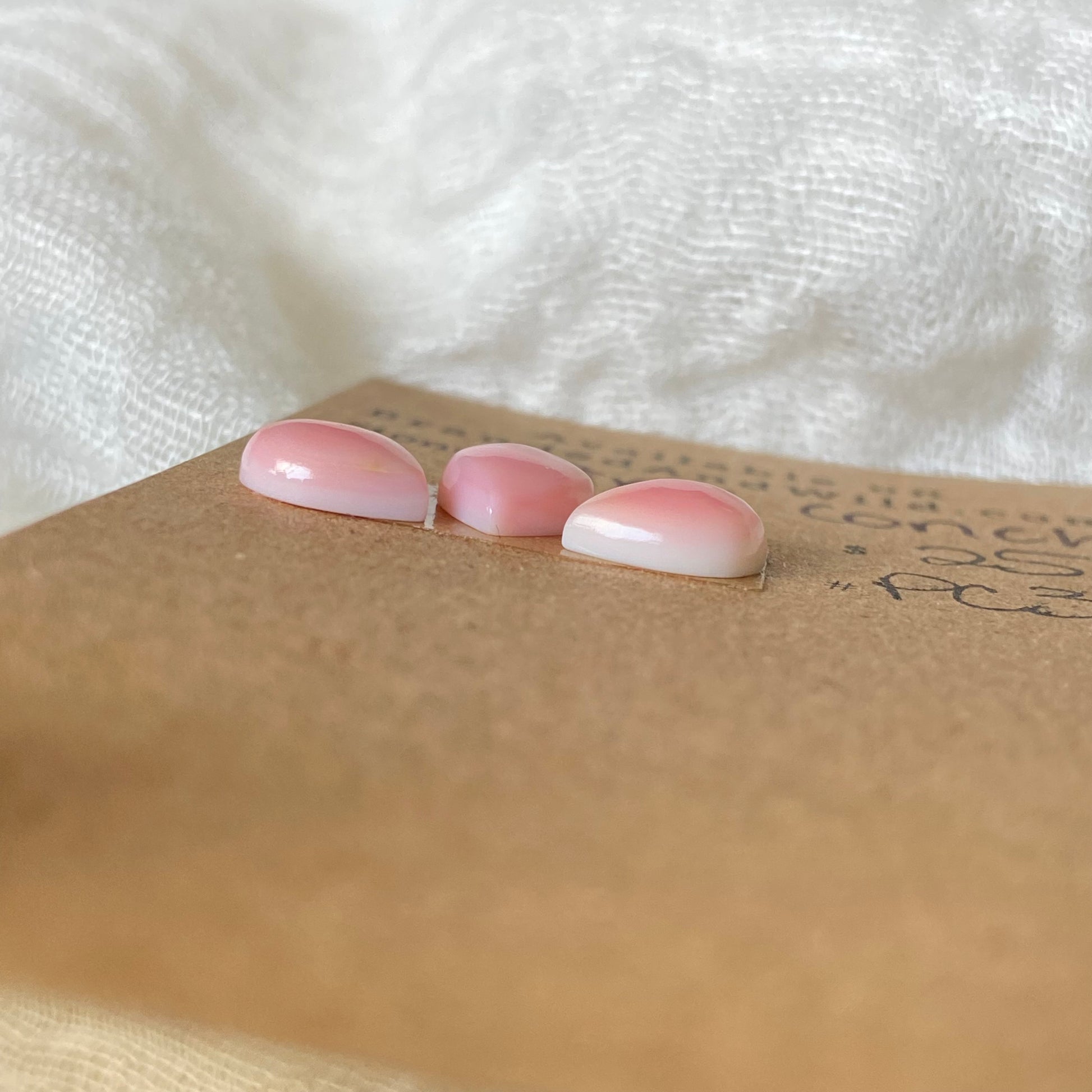 Pink Conch Cabochon - PC30 DBC0CE9C-6FDF-486F-B5BD-D516A0E0A809 Brandedandwild.com