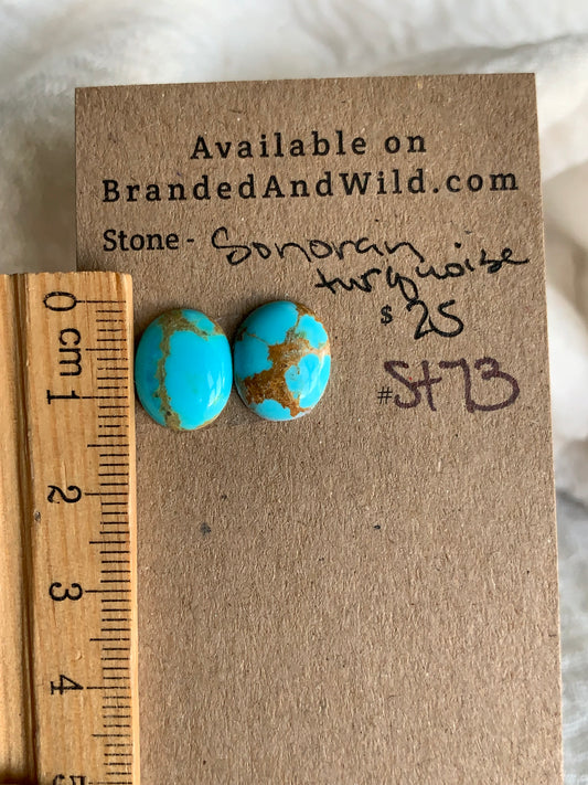 Sonoran Turquoise Cabochon - ST73