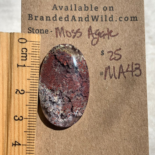 Moss Agate Cabochon- MA43