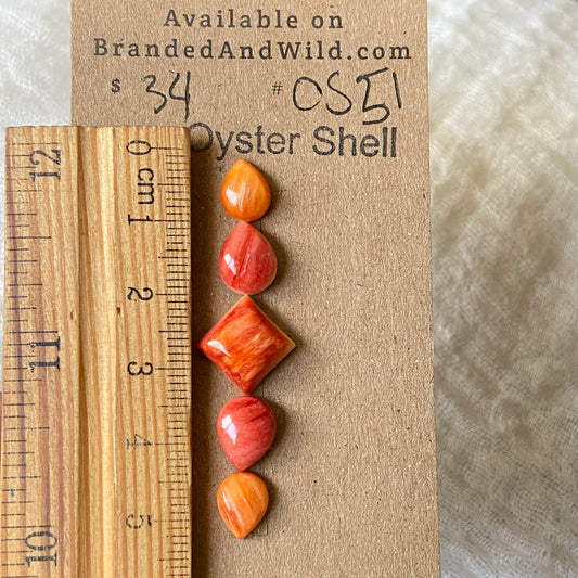 Oystershell Cabochon - OS51 DBF6EDA0-687A-49C6-B612-FDC713F4D016 Brandedandwild.com