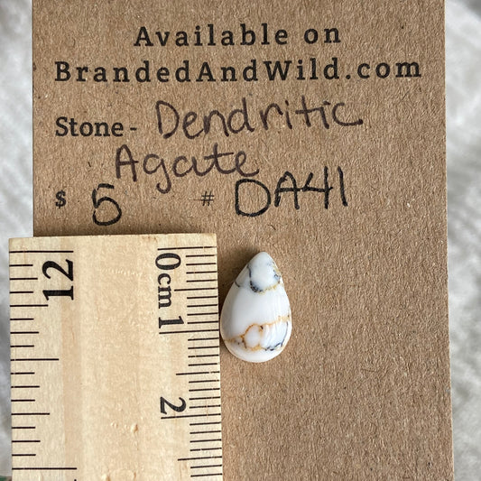 Dendritic Agate Cabochon - DA41