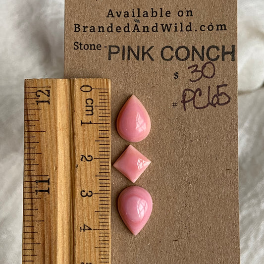 Pink Conch Cabochon - PC65