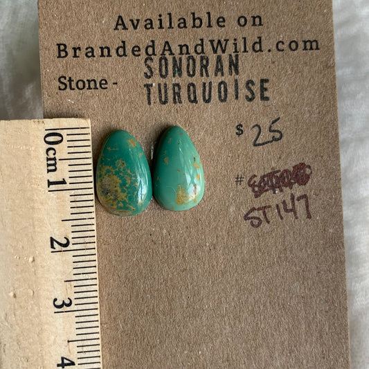 Sonoran Turquoise Cabochon - ST147
