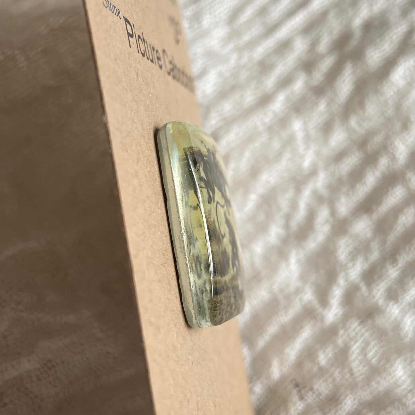 Picture Cabochon - Cabochon - PC90 DC7ACA7E-A94D-4612-8B8F-E986ED55C547 Brandedandwild.com
