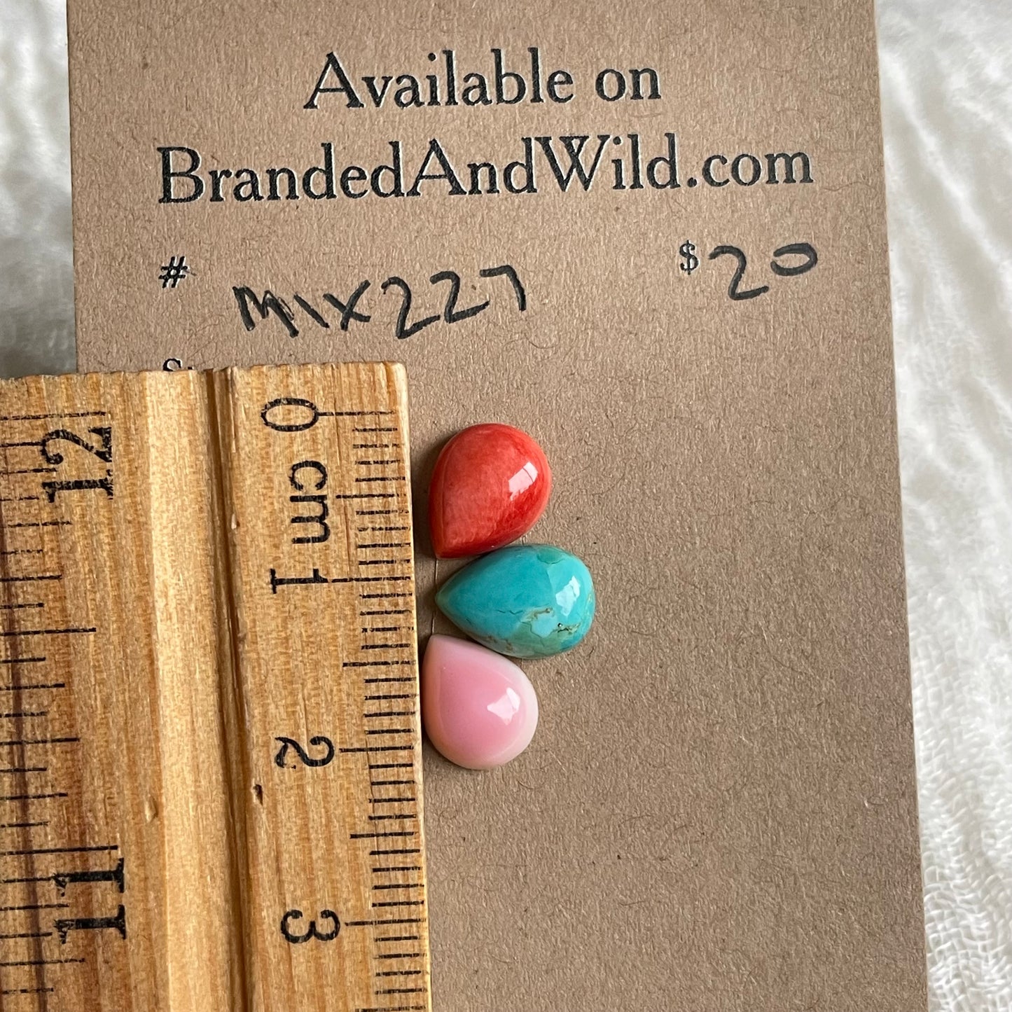 Oyster Shell Mix Cabochon - MIX227 DC80400F-A2A5-4665-B488-033B02067F69 Brandedandwild.com