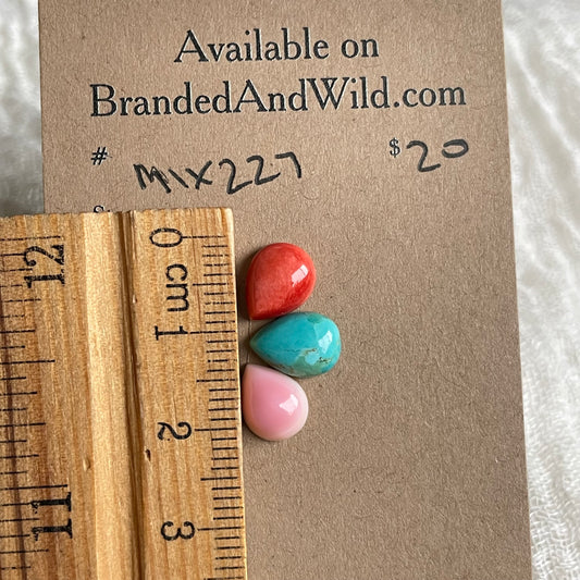 Oyster Shell Mix Cabochon - MIX227 DC80400F-A2A5-4665-B488-033B02067F69 Brandedandwild.com