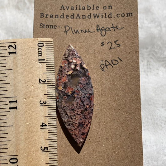 Plume Agate Cabochon - PA01