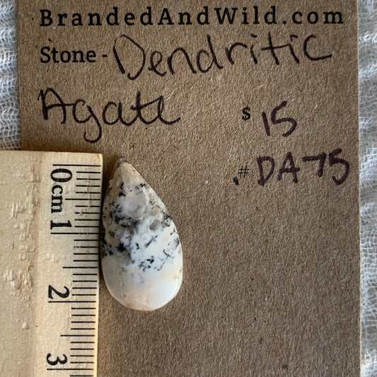 Dendritic Agate Cabochon - DA75