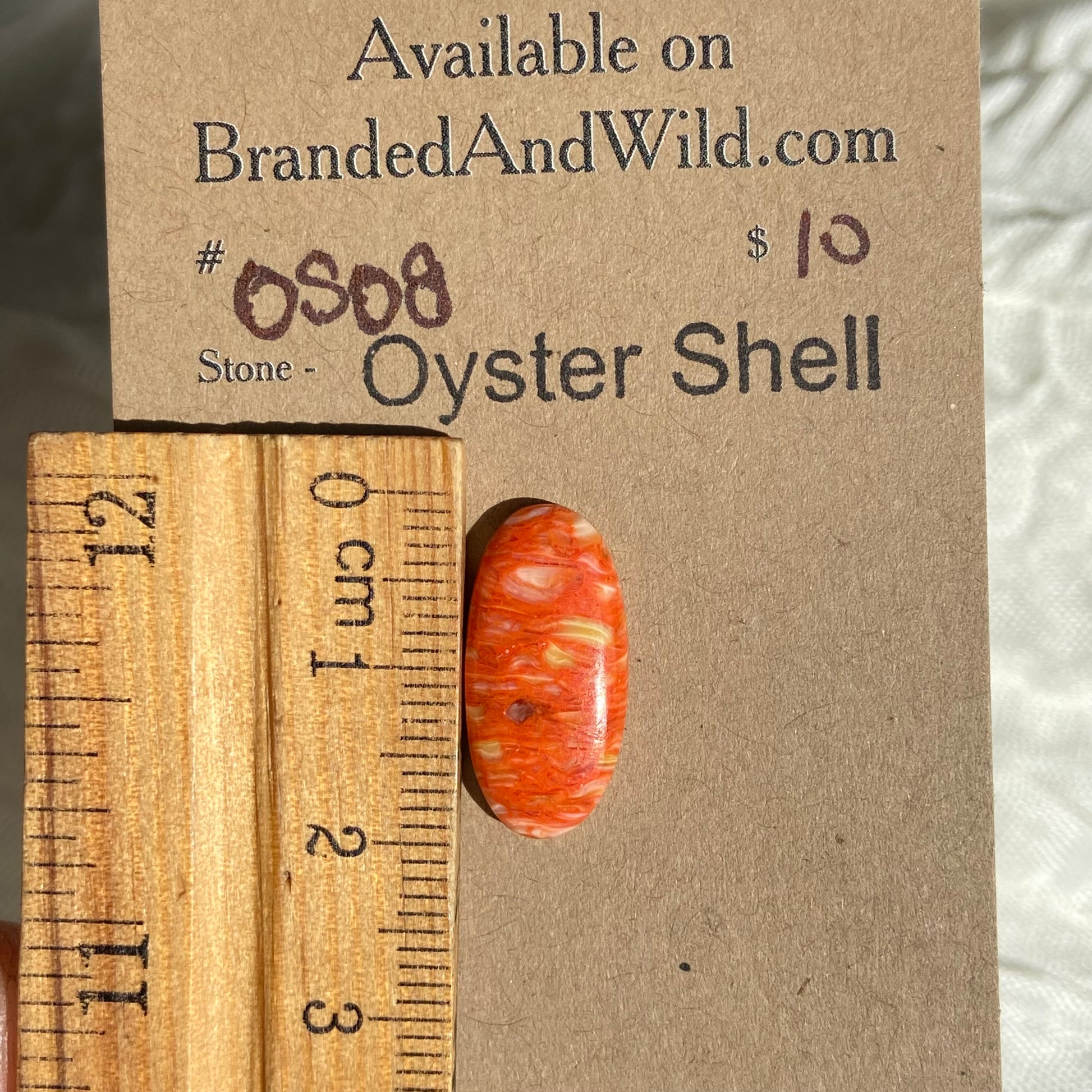 Oystershell Cabochon - OS08 DD16686F-A8A4-45E4-B6D9-2FBBE1A42C89 Brandedandwild.com