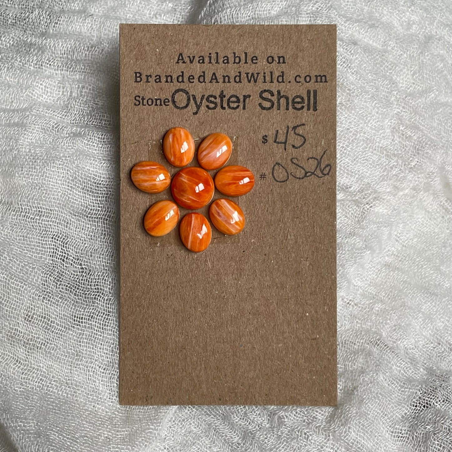 Oyster Shell Cabochon - OS26