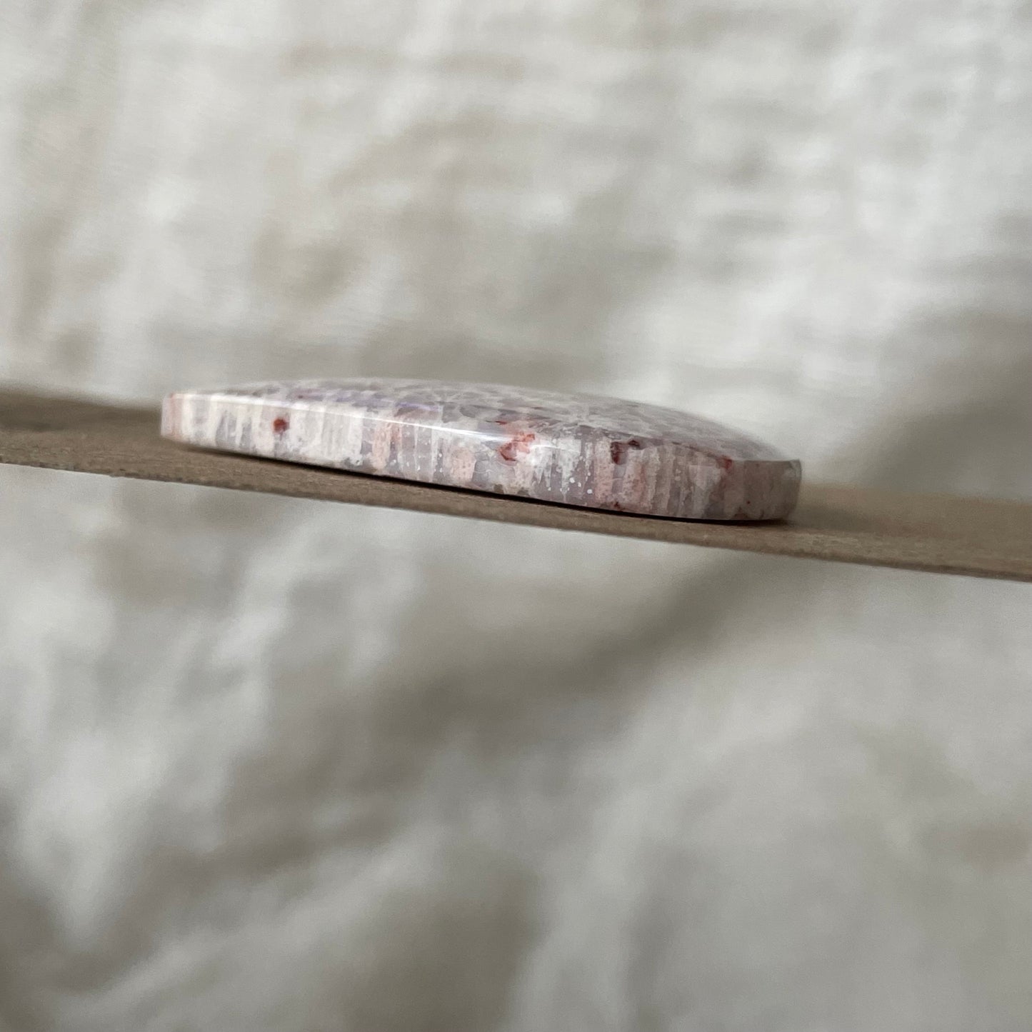 Fossil Coral Cabochon - FC47 DD52B3BC-369D-4FAA-81A5-1B05A5D4BE15 Brandedandwild.com