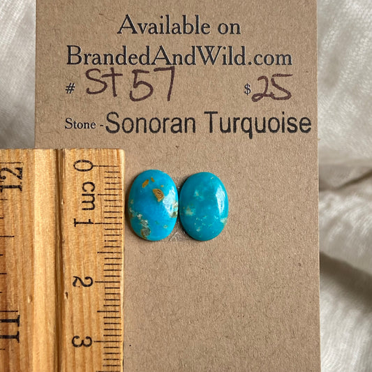 Sonoran Turquoise Cabochon - ST57 DD59BB33-9B43-4336-A7A1-B19A35BB81BD Brandedandwild.com