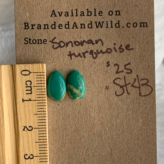 Sonoran Turquoise Cabochon - ST43