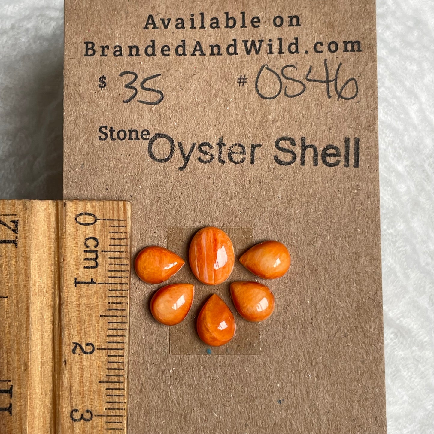 Oyster Shell Cabochon - OS46