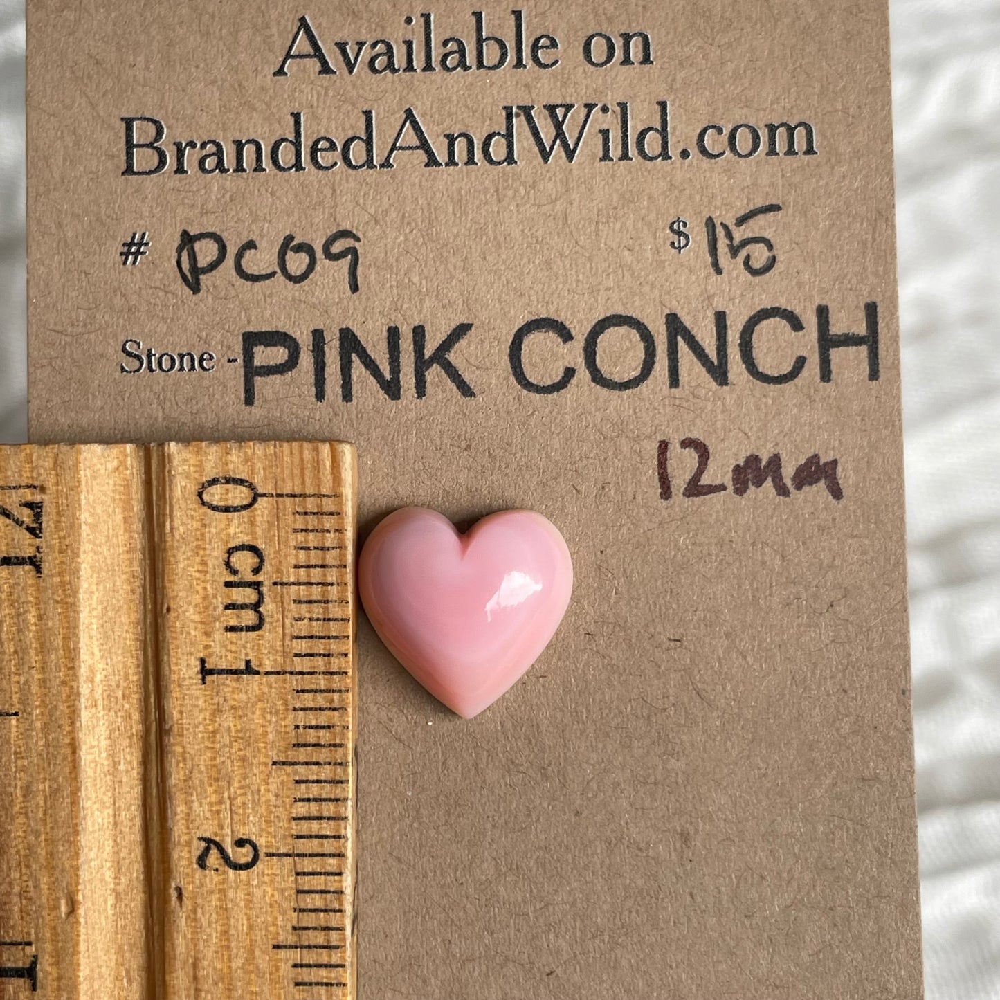 Pink Conch Cabochon - PC09 DD85B6D0-3977-4FCE-A23F-E9EFCE09C49D Brandedandwild.com
