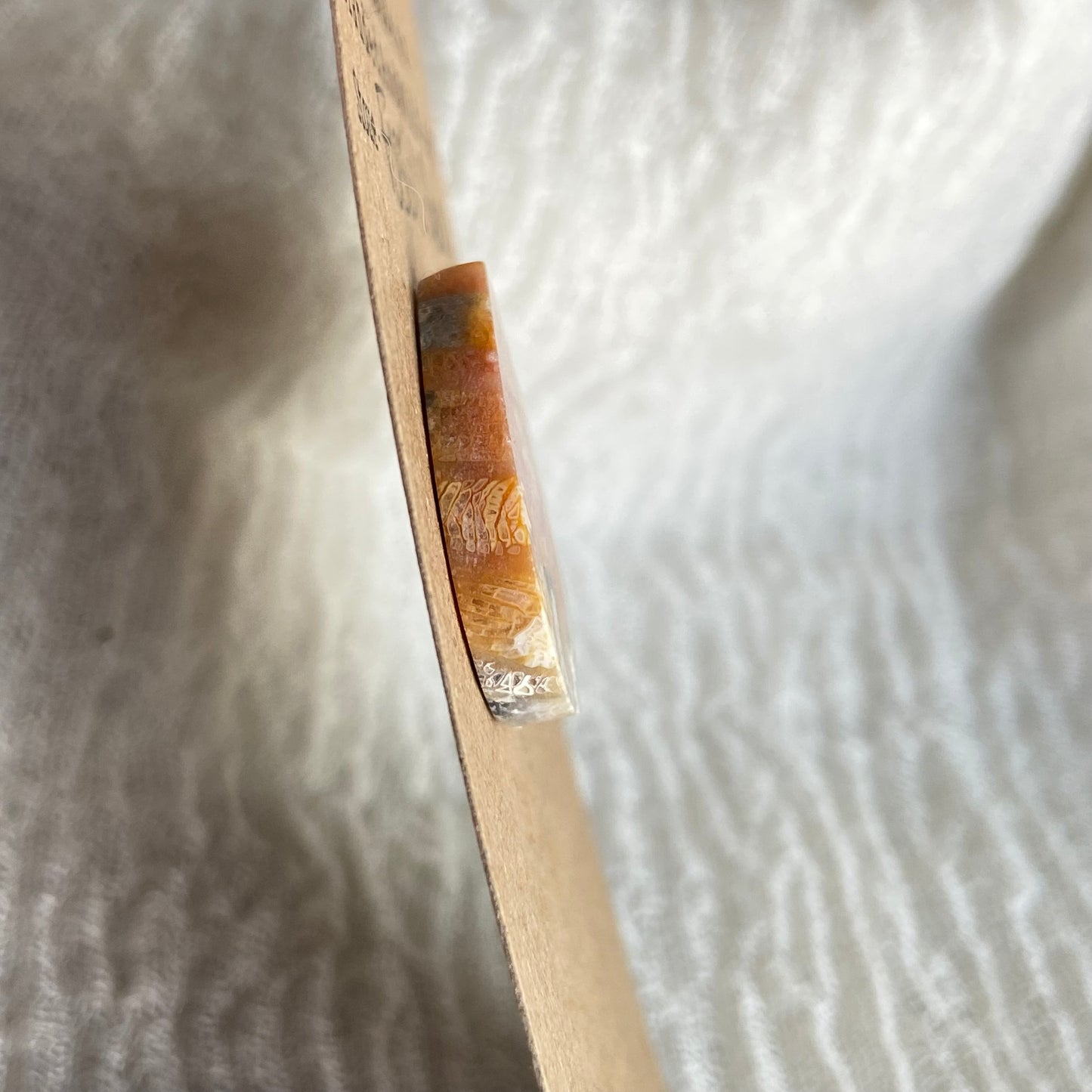 Fossil Coral Cabochon - FC62