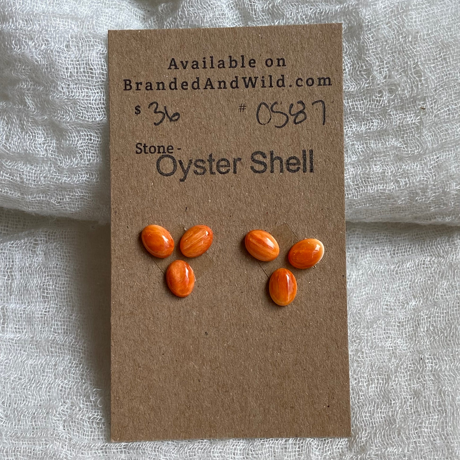 Oystershell Cabochon - OS87 DD9AABB9-63A0-4E6A-A226-59D43F0CCF78 Brandedandwild.com