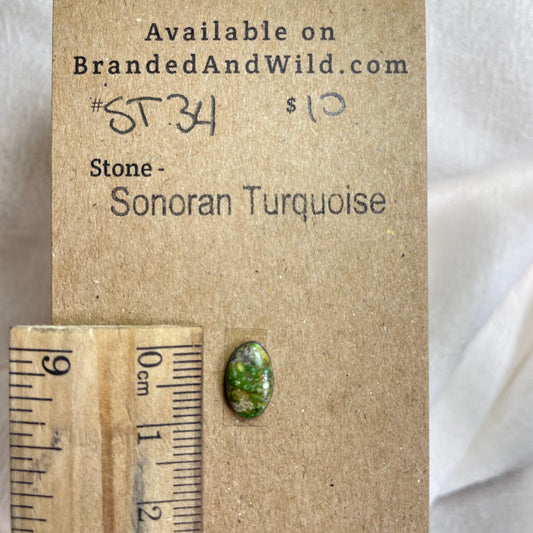Sonoran Turquoise Cabochon - ST34 DDB709FA-3221-4024-A5ED-EEE023D62DC2 Brandedandwild.com