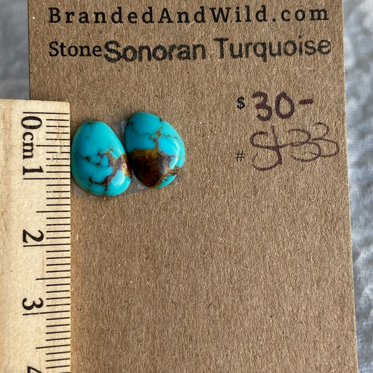 Sonoran Turquoise Cabochon - ST33