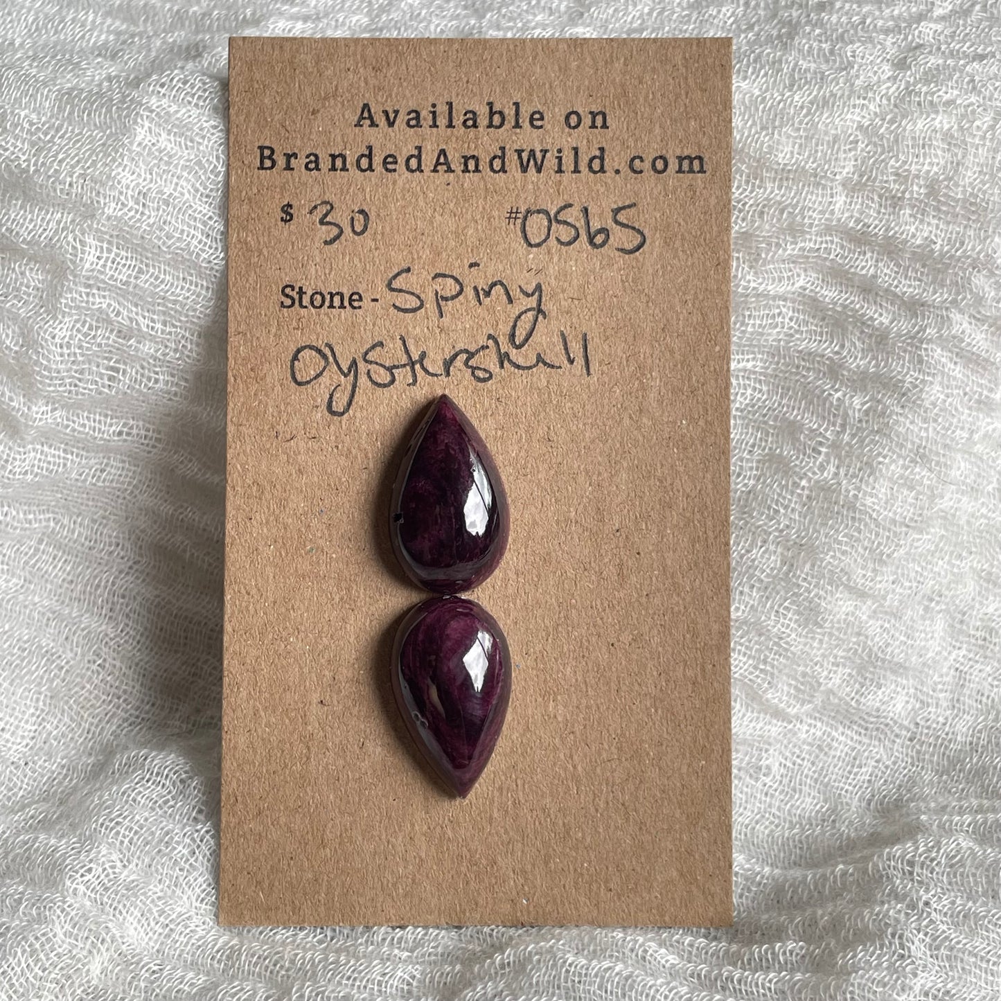 Spiny Oyster Shell Cabochon - OS65 DE0AB485-DBF9-450E-B860-10CE85D13316 Brandedandwild.com