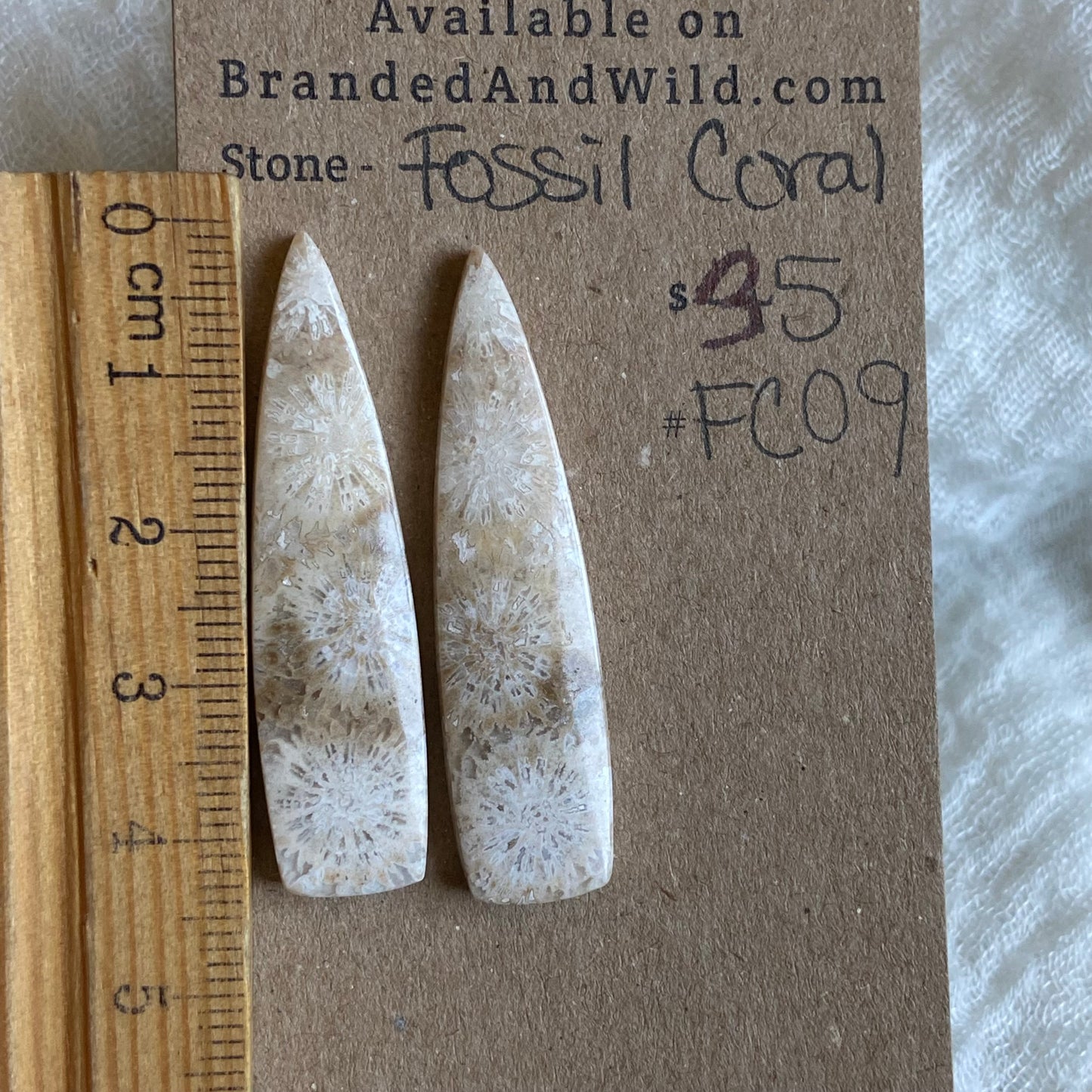 Fossil Coral Cabochon - FC09