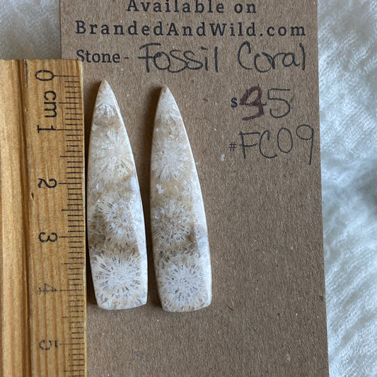Fossil Coral Cabochon - FC09 DE11BA20-1B40-4418-BE11-27F797033884 Brandedandwild.com