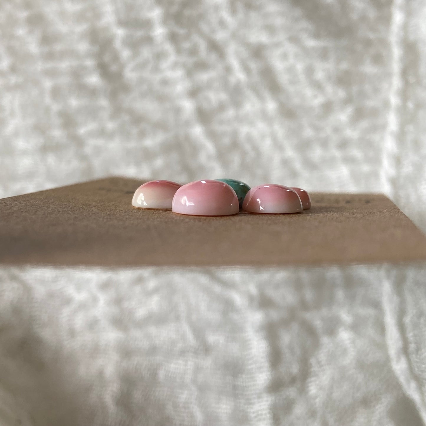 Pink Conch / Kingman Turquoise Cabochon - PT10