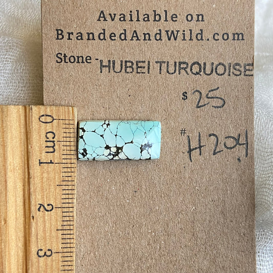 Hubei Turquoise Cabochon - H204 DE8FFFD4-C681-4EA3-A6E1-619F5A6315C8 Brandedandwild.com
