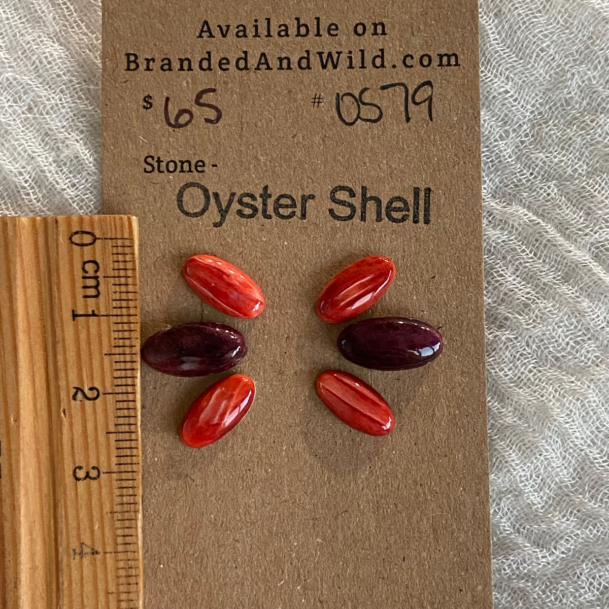 Oyster Shell Cabochon - OS79