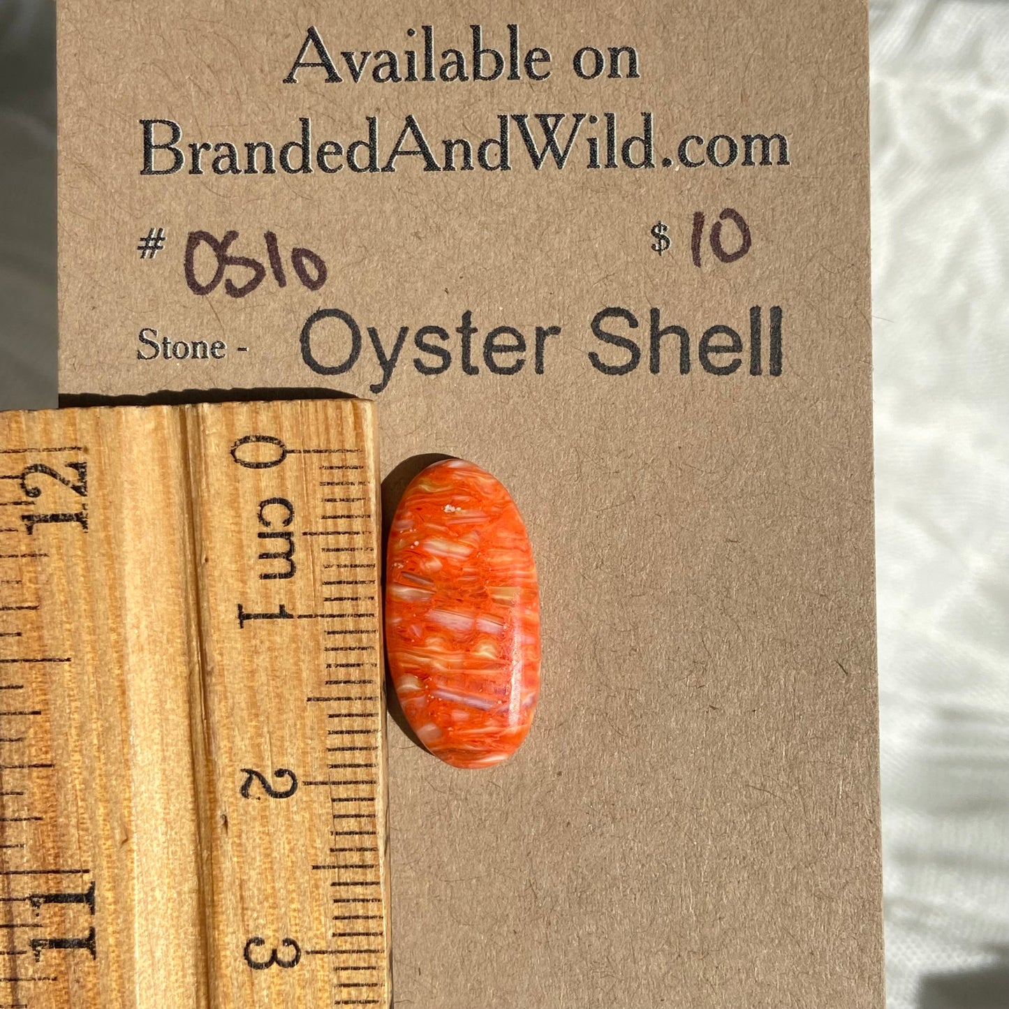 Oystershell Cabochon - OS10 DEDCA2BA-3F4F-47CD-9846-A81931389AD3 Brandedandwild.com